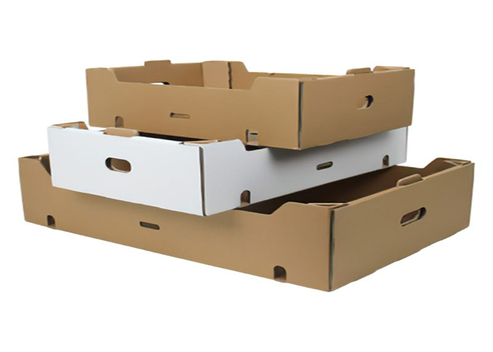 YAŞ SEBZE VE MEYVE KUTUSU